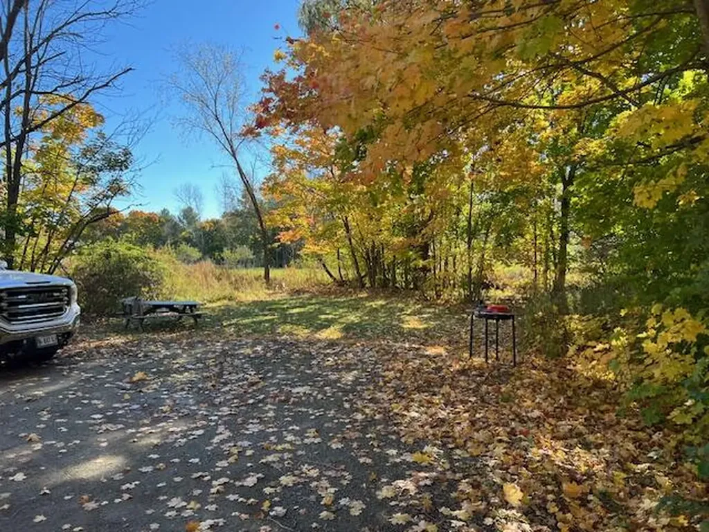 15 Park Street Orono ME 04473