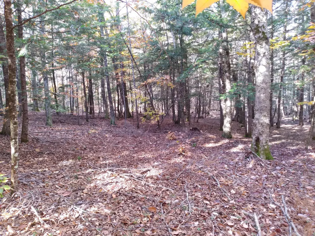 21-8 Raven Lane Fryeburg ME 04037
