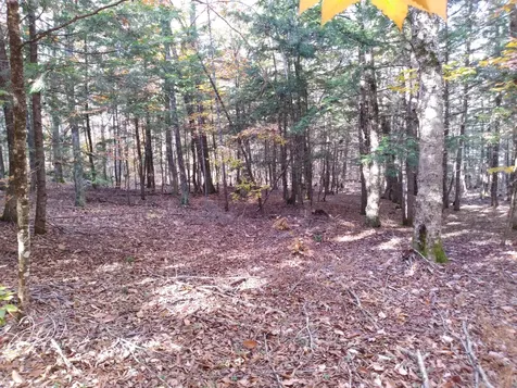 21-8 Raven Lane Fryeburg ME 04037