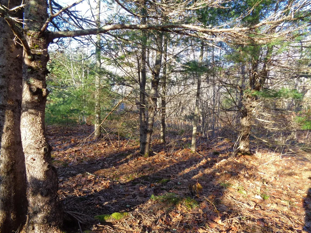 68 Quarry Road Sullivan ME 04664