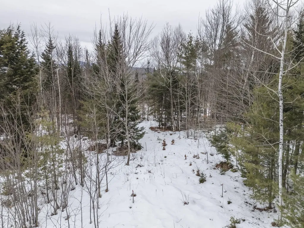 Lot 18 Second Street Bethel ME 04217