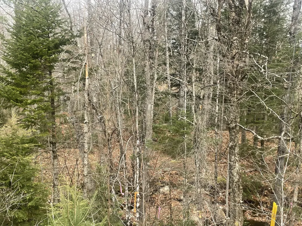 Lot 22 Roxbury Notch Road Roxbury ME 04275