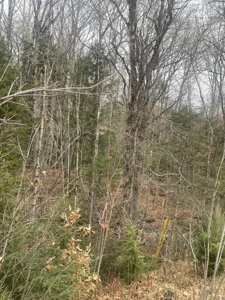 Lot 22 Roxbury Notch Road Roxbury ME 04275