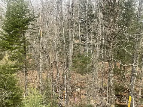Lot 22 Roxbury Notch Road Roxbury ME 04275