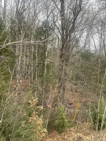 Lot 22 Roxbury Notch Road Roxbury ME 04275