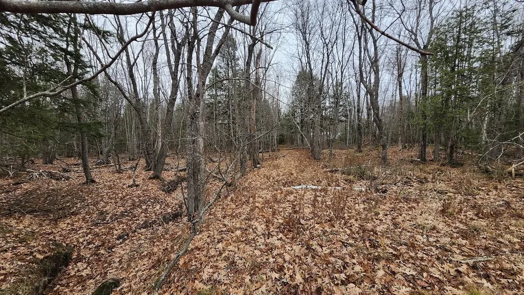 Lot 1c Medway Road Route 157 Road Mattawamkeag ME 04459