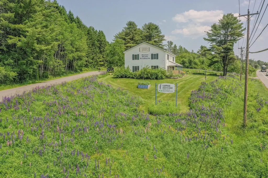 7 Old Searsport Avenue Belfast ME 04915