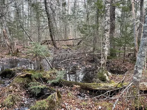 225 Priest Road Northport ME 04849