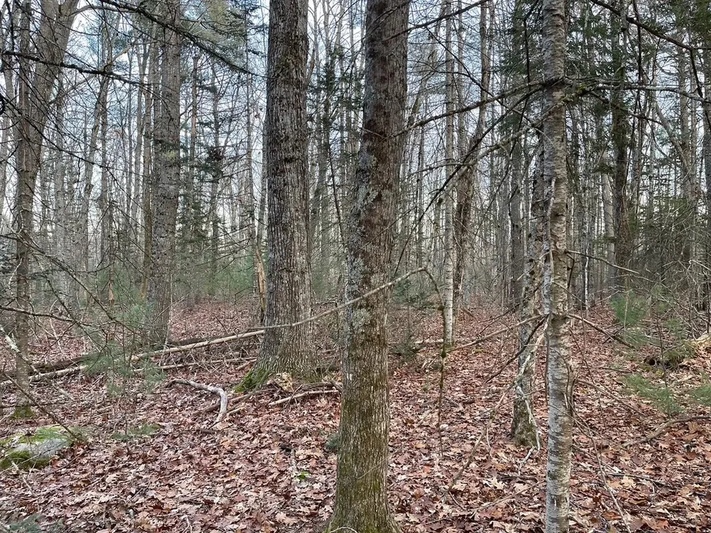 223 Priest Road Northport ME 04849