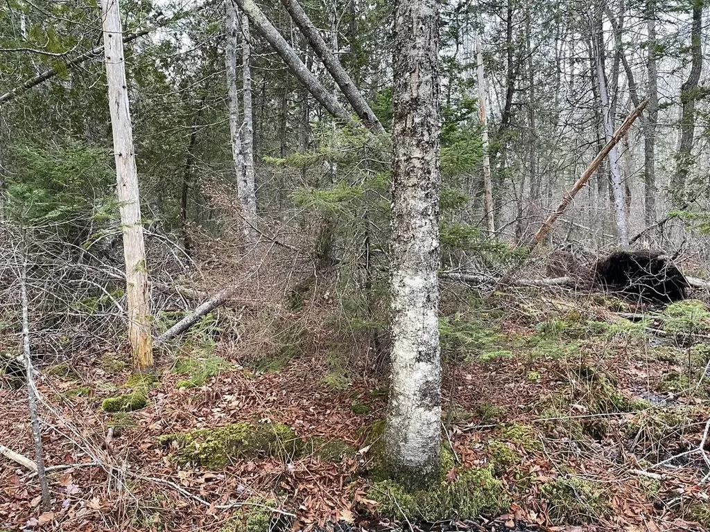 223 Priest Road Northport ME 04849