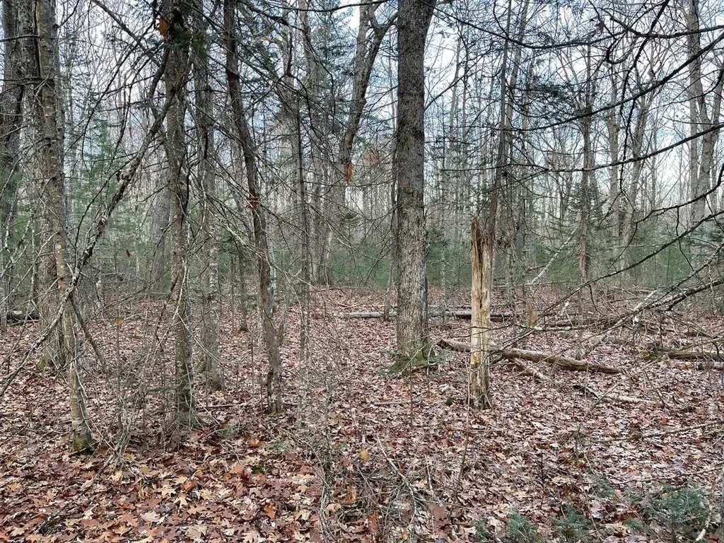 223 Priest Road Northport ME 04849
