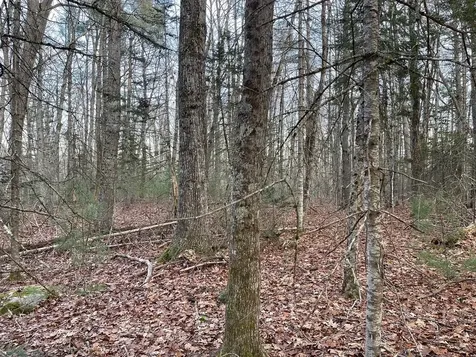 223 Priest Road Northport ME 04849