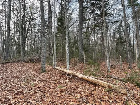 223 Priest Road Northport ME 04849