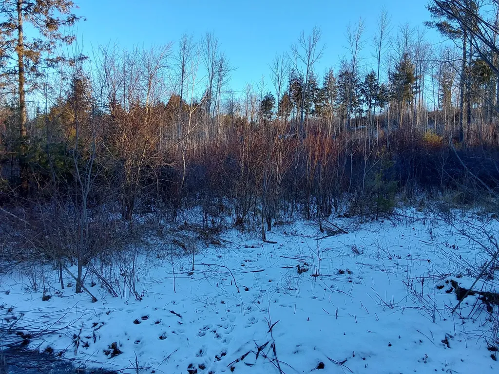 0 Muzzy Ridge Road Searsmont ME 04973