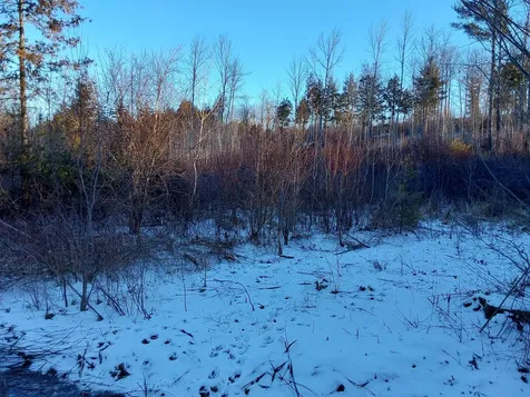 0 Muzzy Ridge Road Searsmont ME 04973