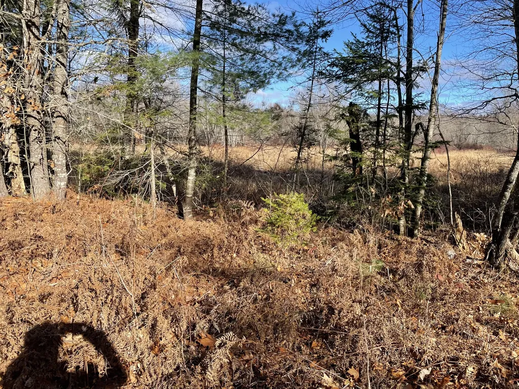 Lot 40 Lord Brook Road Grand Falls Twp ME 04418
