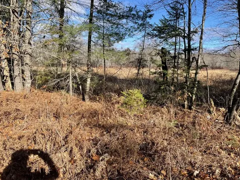 Lot 40 Lord Brook Road Grand Falls Twp ME 04418