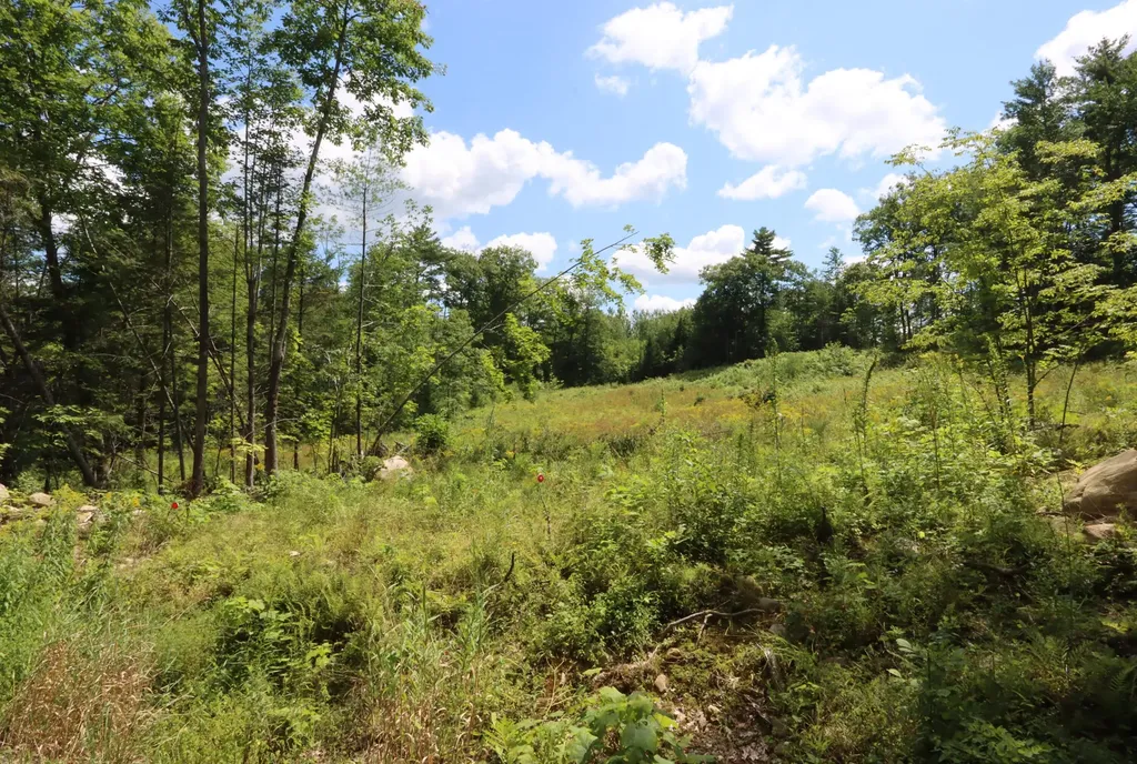 Lot 13-1 Wiley Road Greene ME 04236