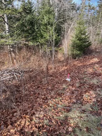 Lot 8 Spruce Head Road South Thomaston ME 04858