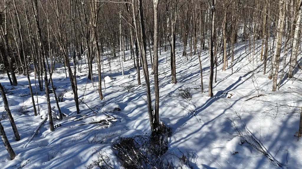 Tbd Dunn Road Norway ME 04268
