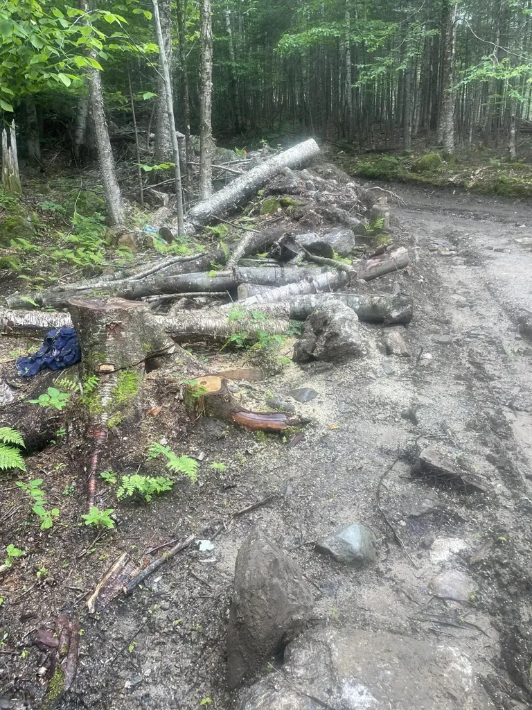 Tbd Dunn Road Norway ME 04268