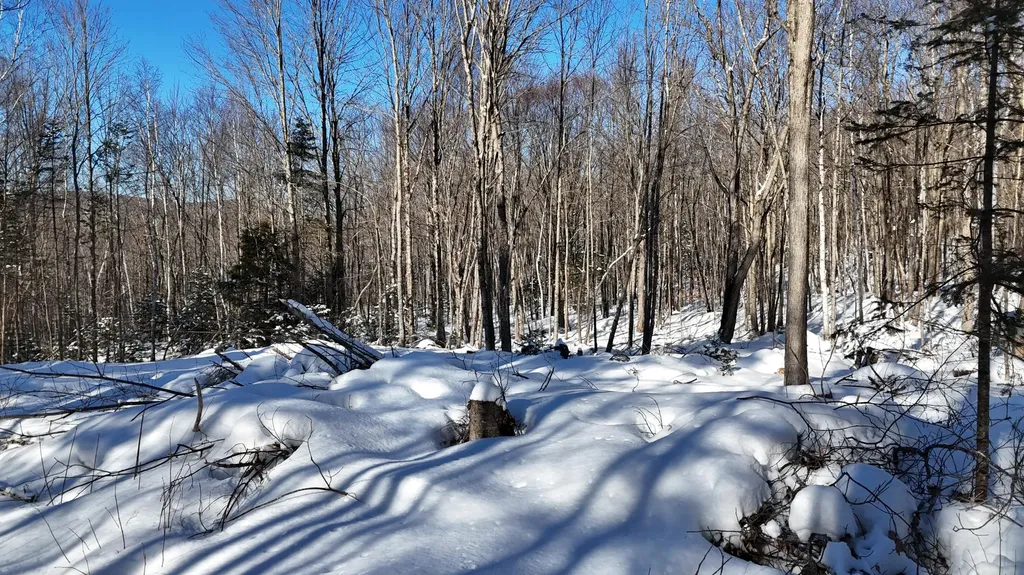 Tbd Dunn Road Norway ME 04268
