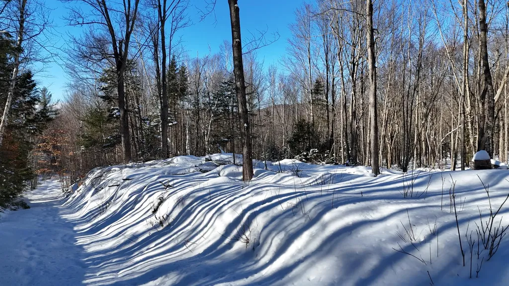 Tbd Dunn Road Norway ME 04268