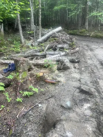 Tbd Dunn Road Norway ME 04268