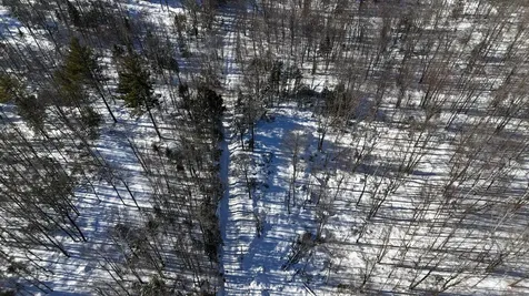 Tbd Dunn Road Norway ME 04268