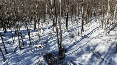 Tbd Dunn Road Norway ME 04268