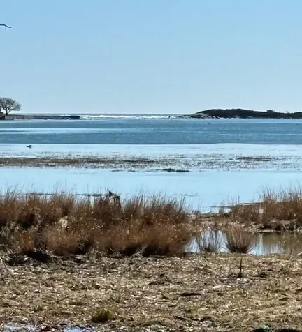 41 Mills Road Kennebunkport ME 04046