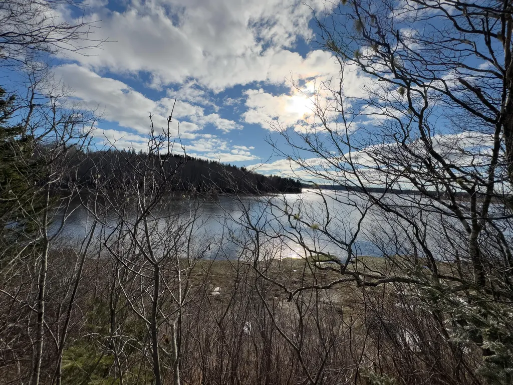 379 Cutler Road Machiasport ME 04655