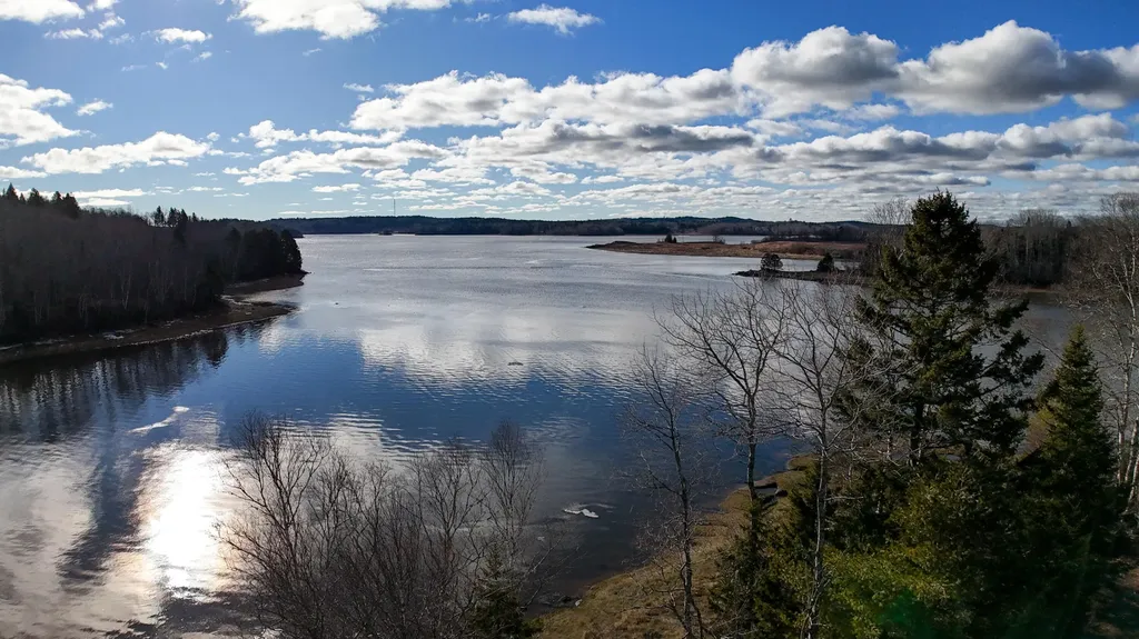 379 Cutler Road Machiasport ME 04655