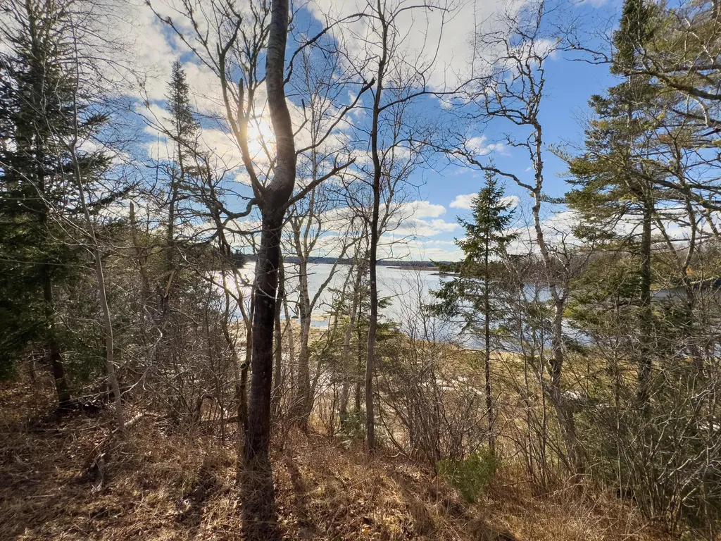379 Cutler Road Machiasport ME 04655