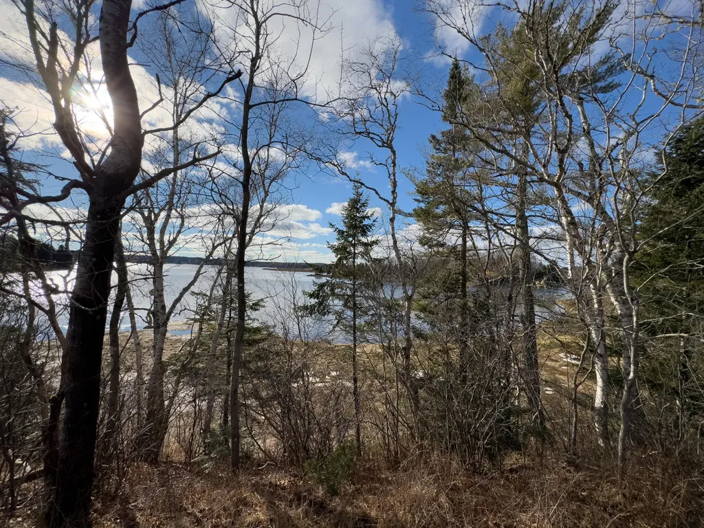 379 Cutler Road Machiasport ME 04655
