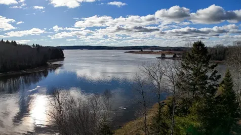 379 Cutler Road Machiasport ME 04655