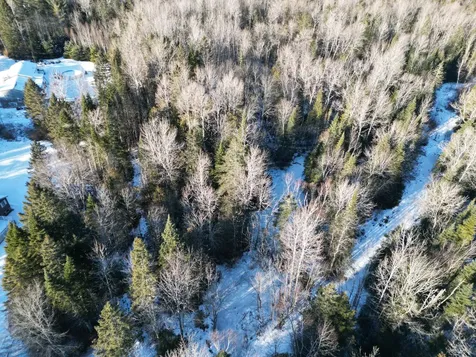 923 Sherman Station Road Stacyville ME 04777
