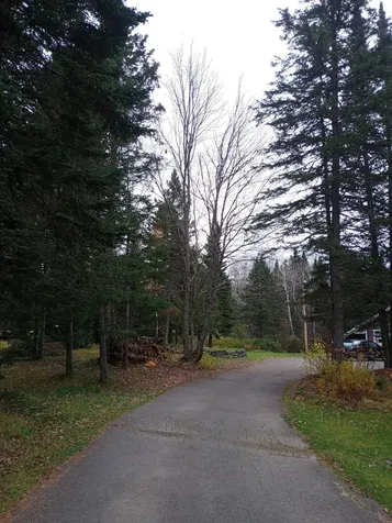 923 Sherman Station Road Stacyville ME 04777