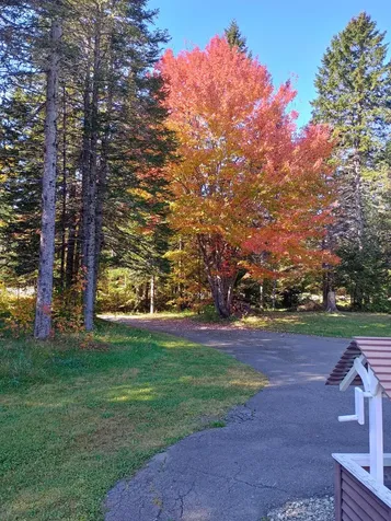 923 Sherman Station Road Stacyville ME 04777