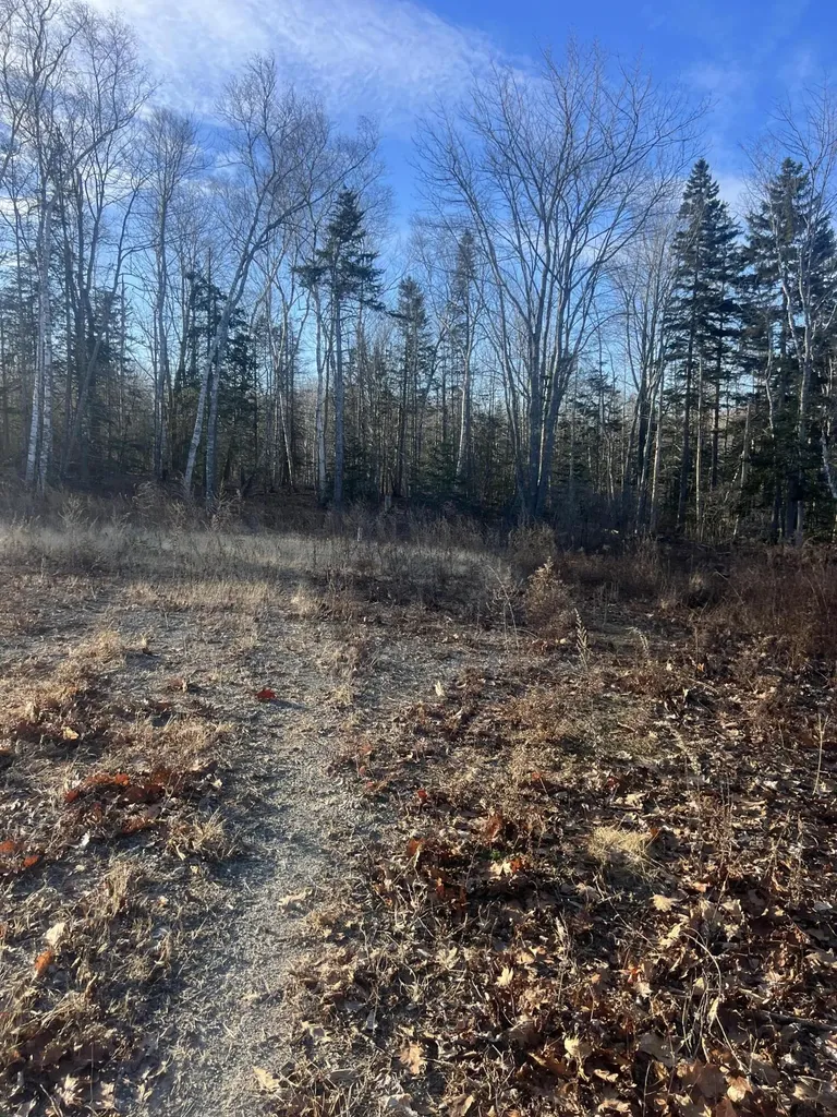 52 Ledge Road South Thomaston ME 04858