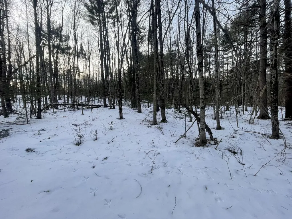 105 Zions Hill Road Chesterville ME 04938