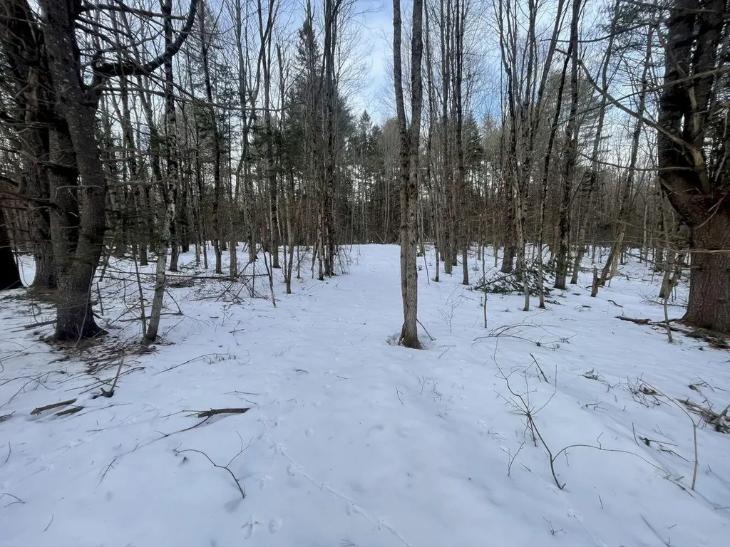 105 Zions Hill Road Chesterville ME 04938
