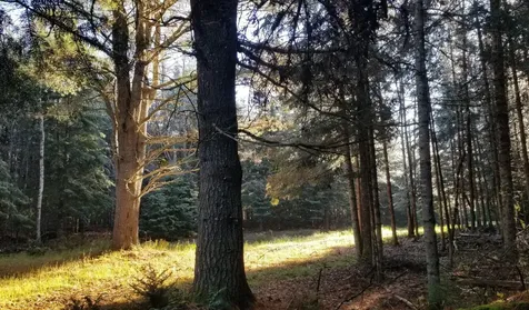 691 Stetson Road Exeter ME 04435