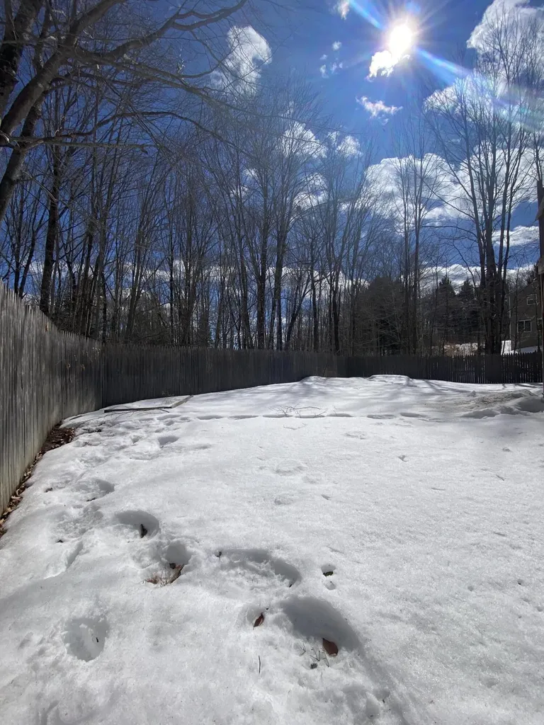950 Maple Ridge Road Harrison ME 04040