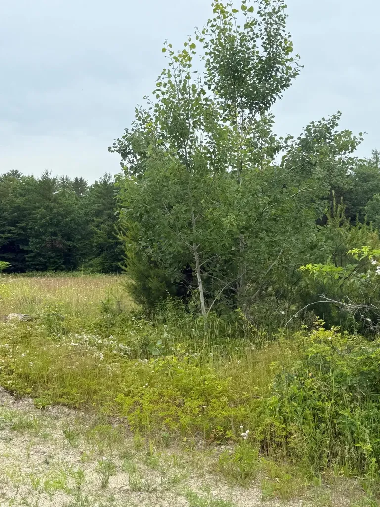 0 Hawk Meadow Road Waterford ME 04088