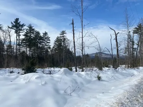 Lot 2 Chase Road Parsonsfield ME 04047