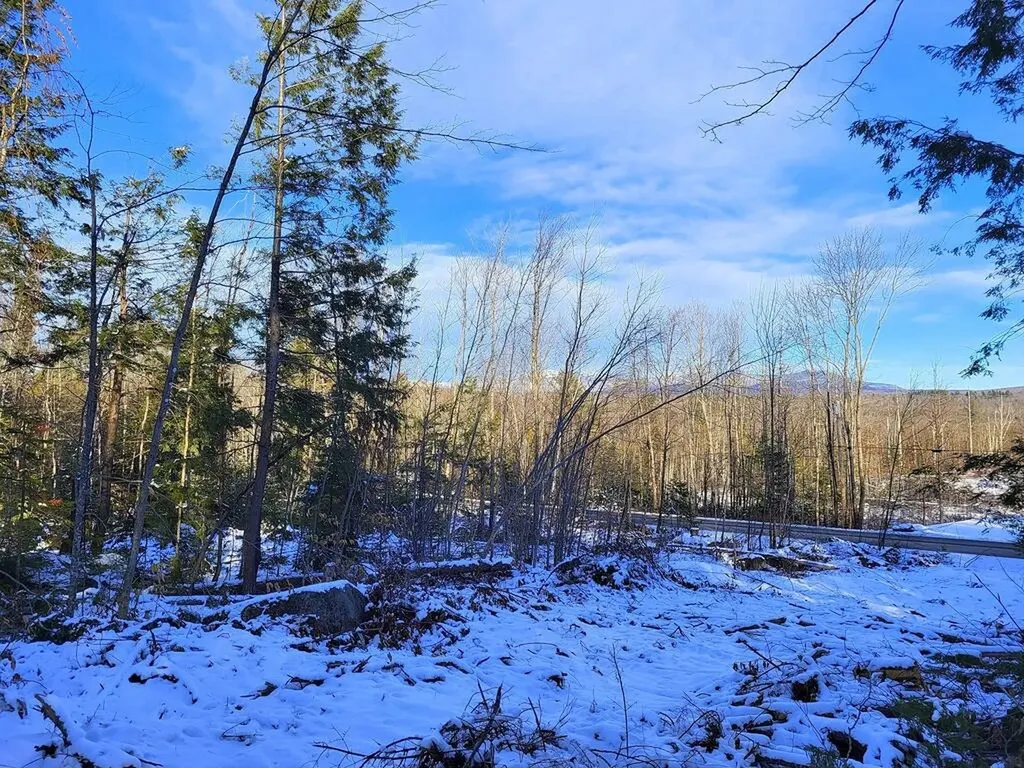 Lot 62.2 Reeds Mill Road Madrid Twp ME 04966