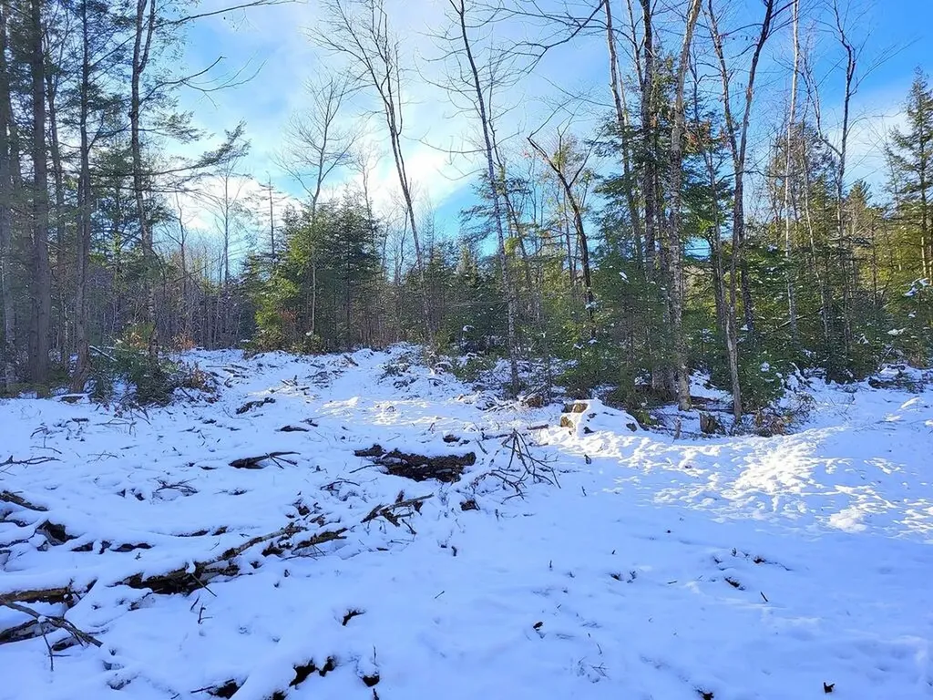Lot 62.2 Reeds Mill Road Madrid Twp ME 04966