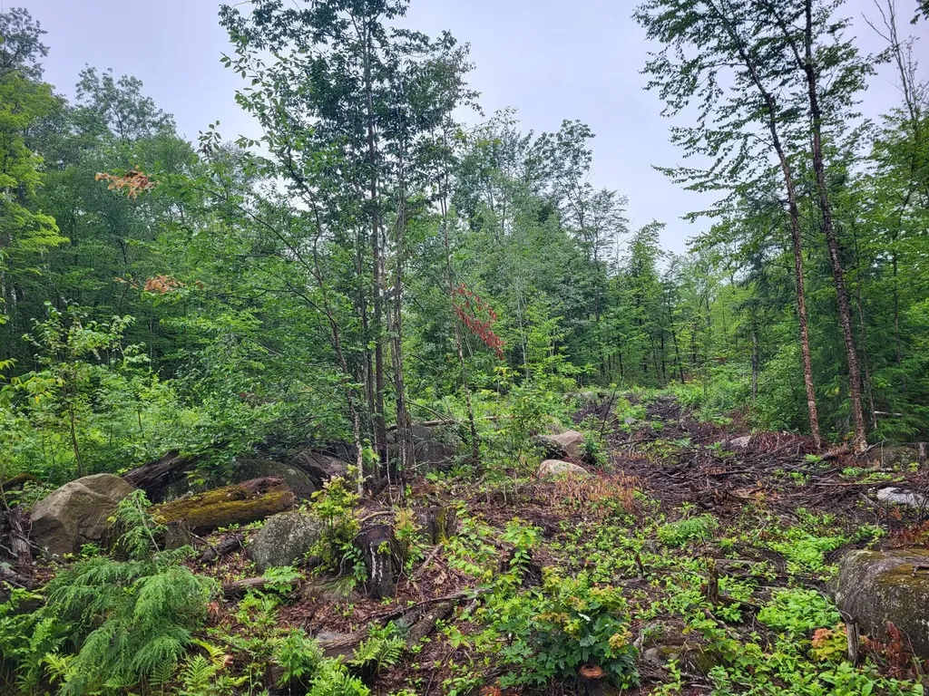 Lot 62.2 Reeds Mill Road Madrid Twp ME 04966