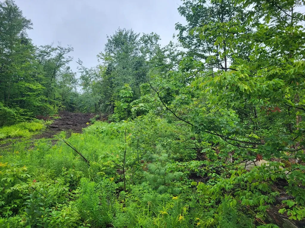 Lot 62.2 Reeds Mill Road Madrid Twp ME 04966